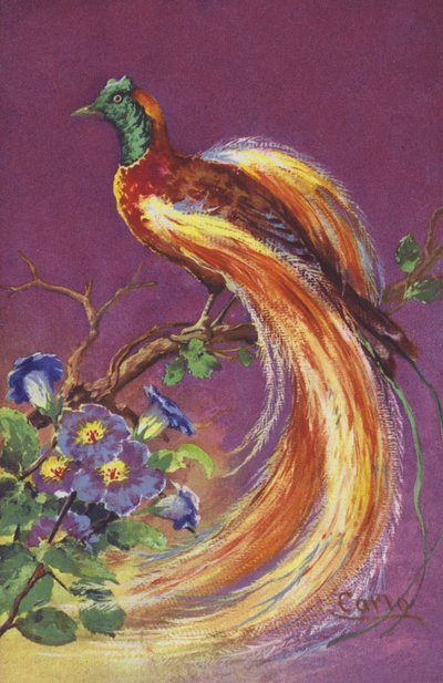 Oiseau tropical ou exotique - European School